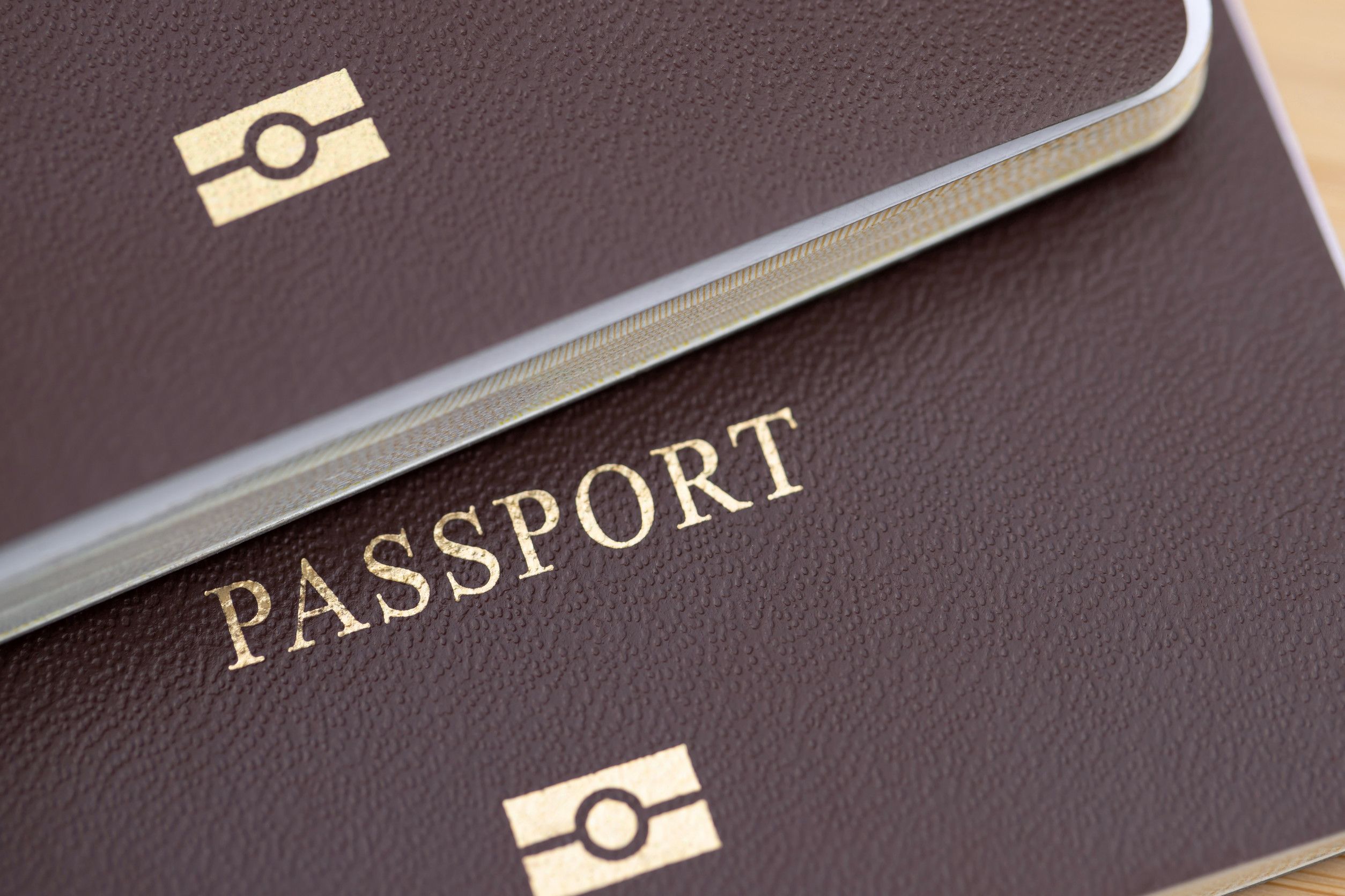 Passport for travelling in World